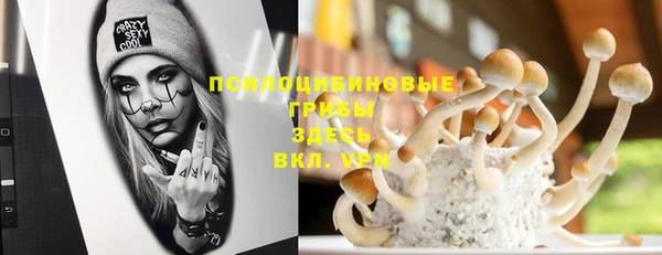 мескалин Лабытнанги