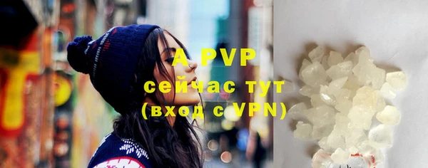 прущие грибы Краснослободск