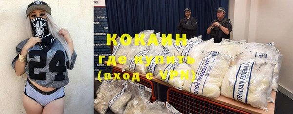 прущие грибы Краснослободск