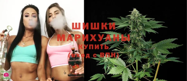 прущие грибы Краснослободск